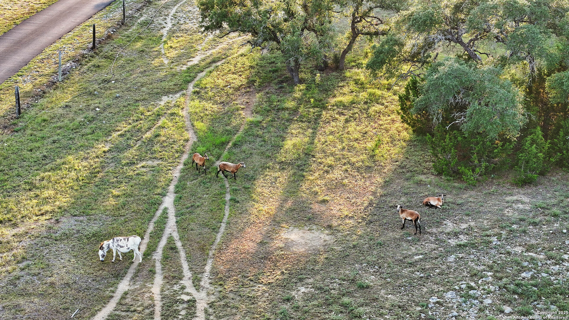 24209 Scenic Loop
