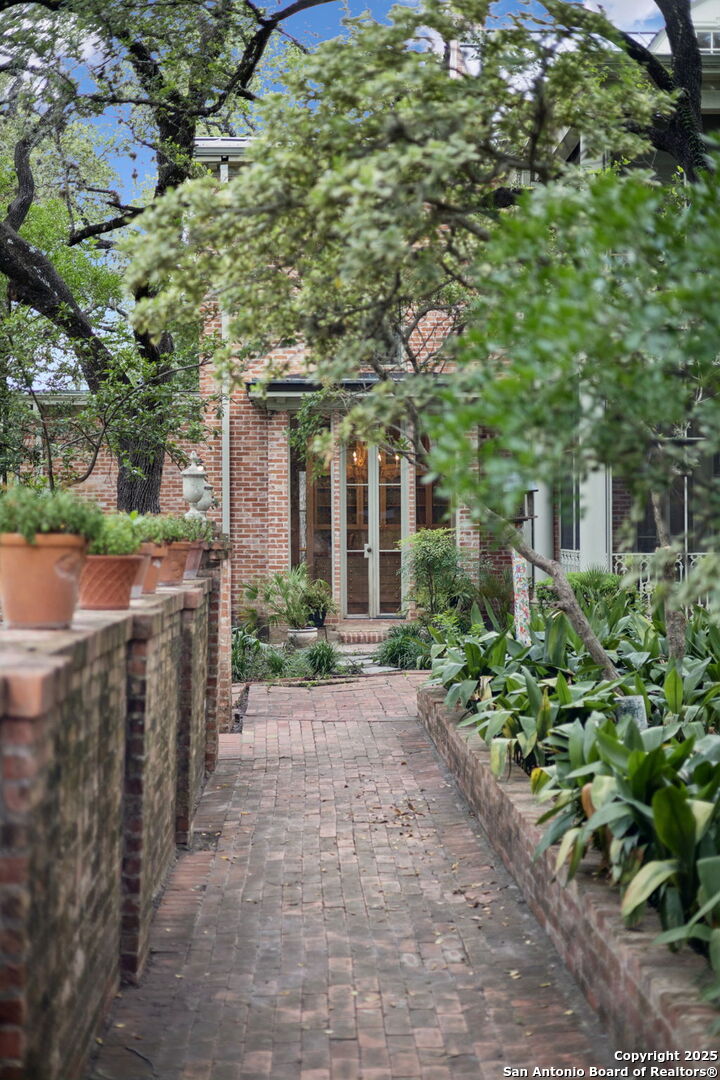 424 Ivy