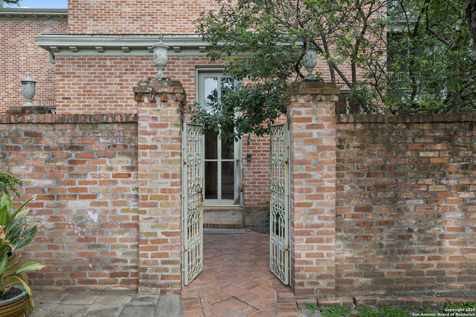 424 Ivy