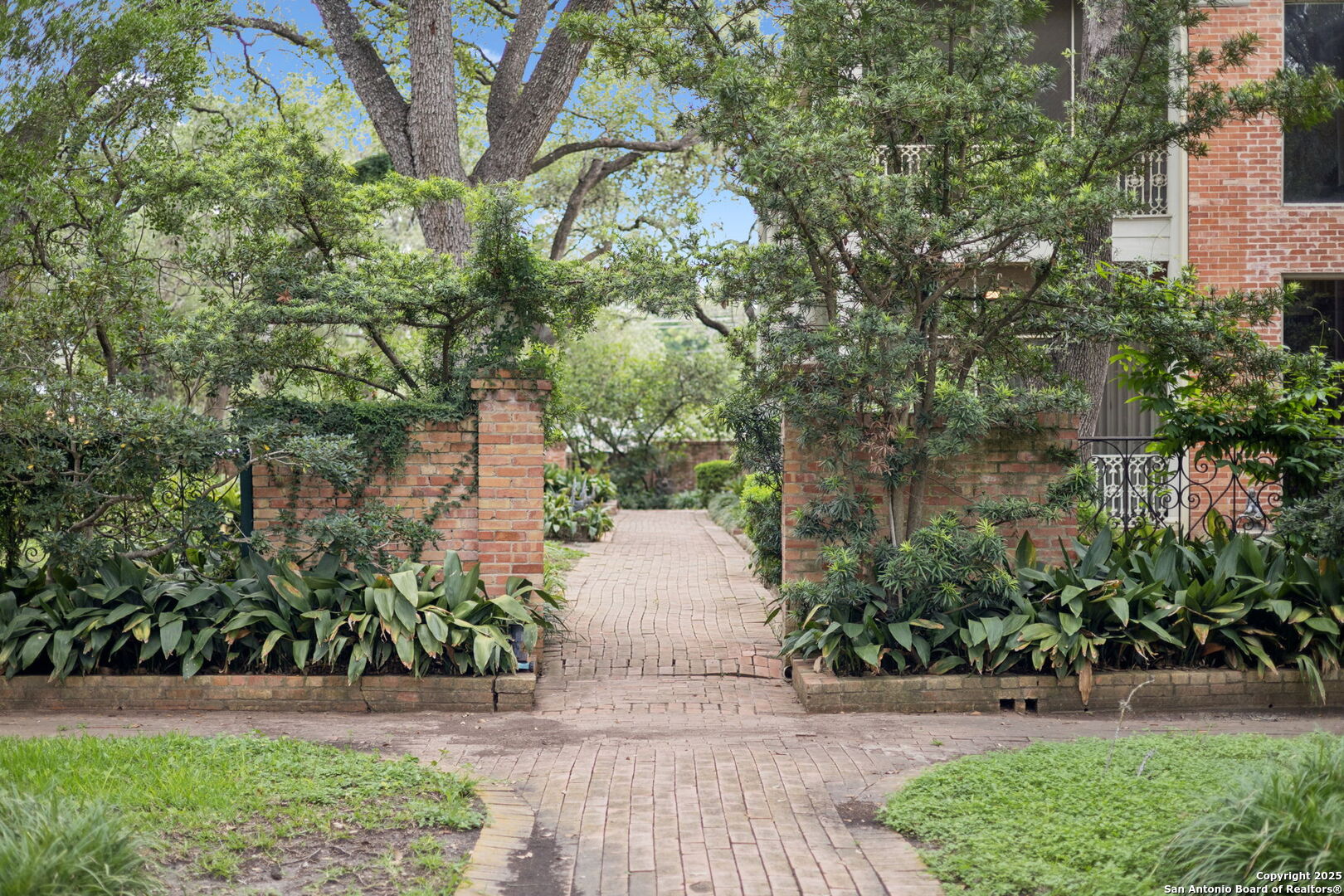 424 Ivy