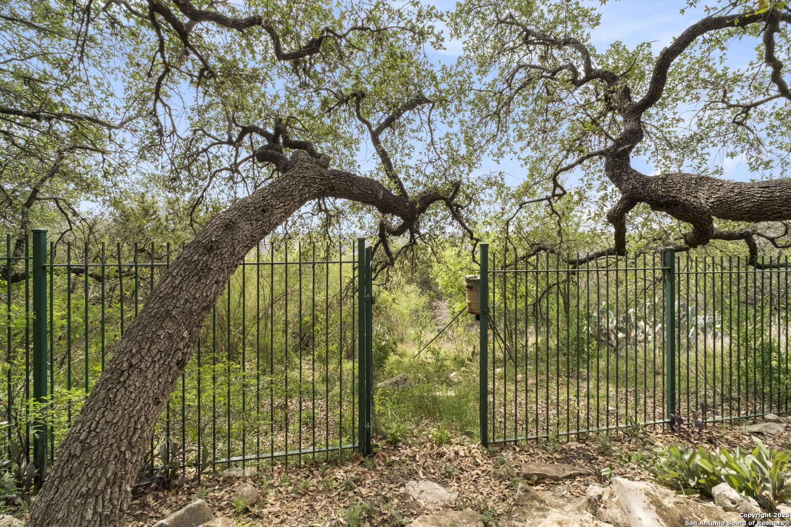 18323 Edwards Bluff
