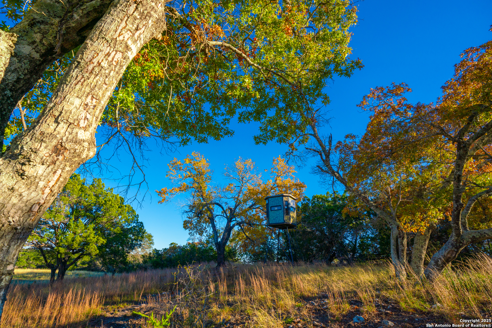 101 Bella Springs Rd