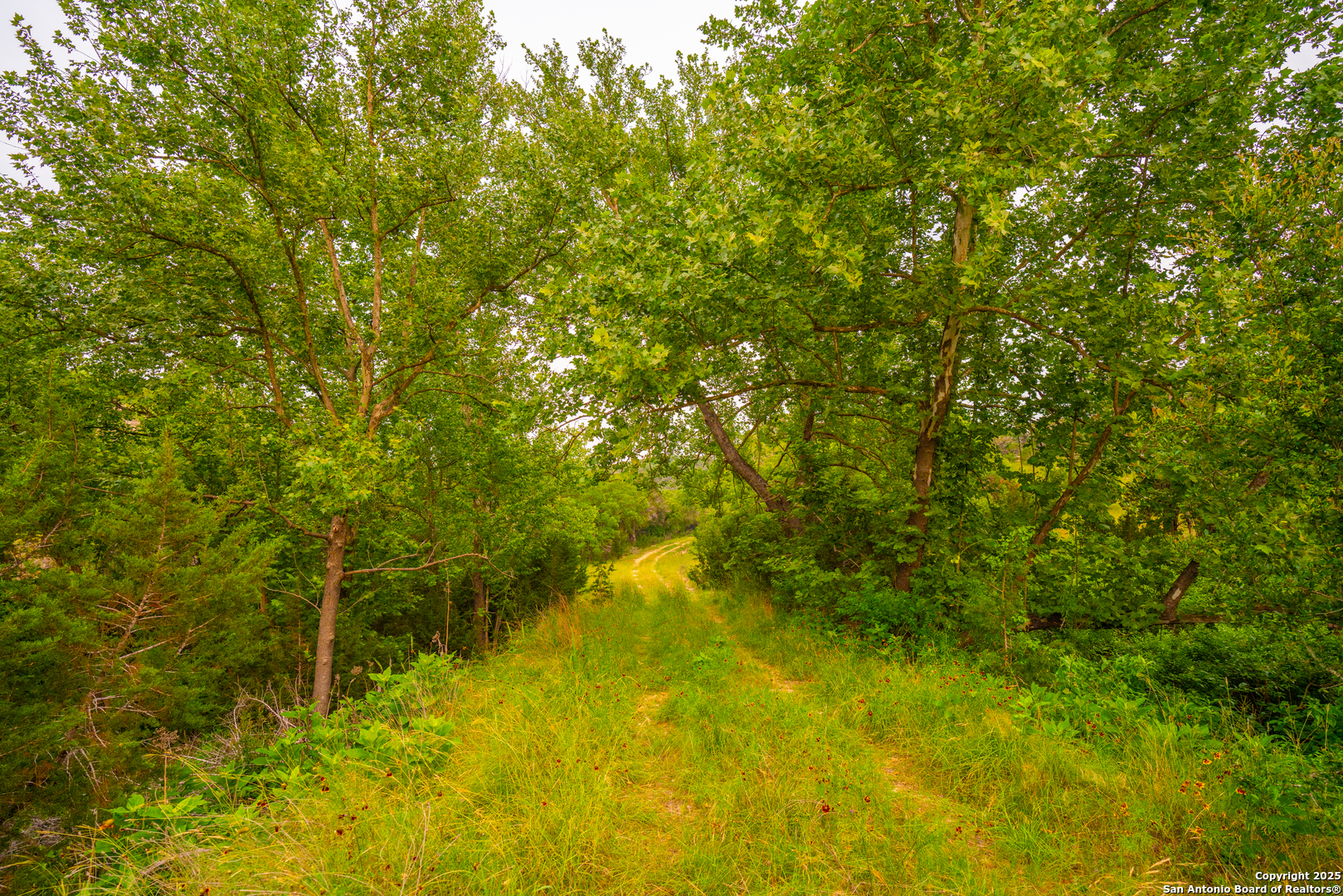 101 Bella Springs Rd