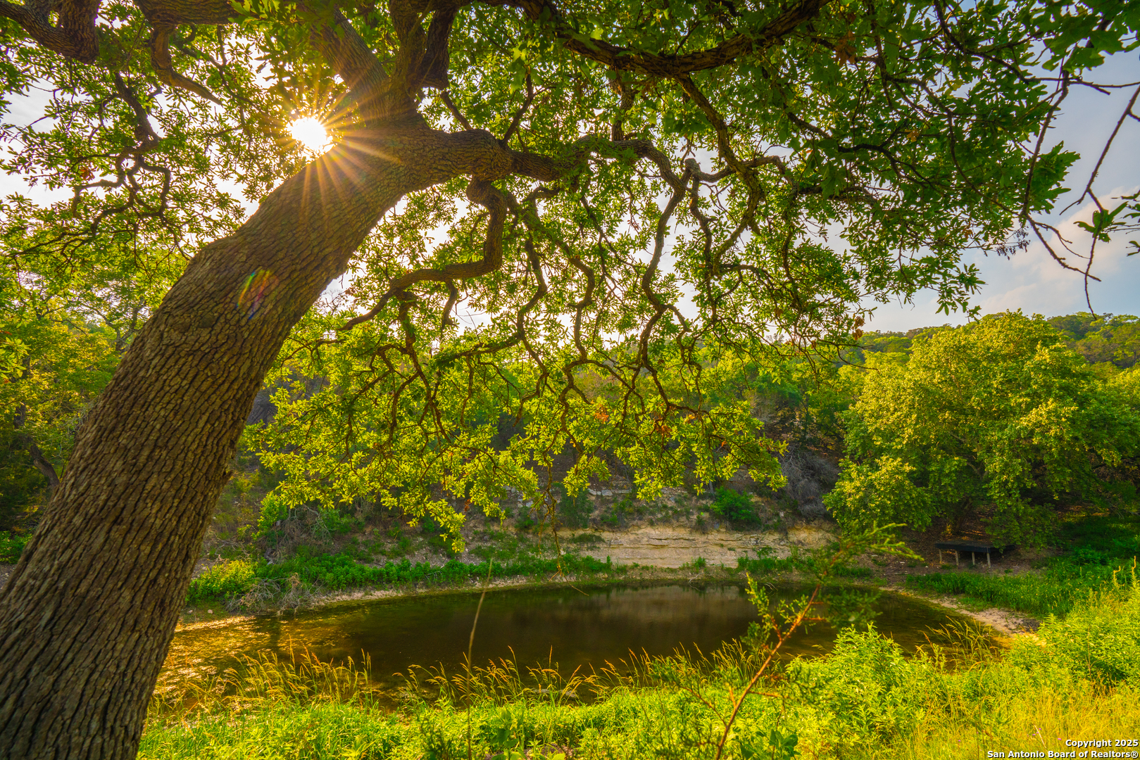 101 Bella Springs Rd