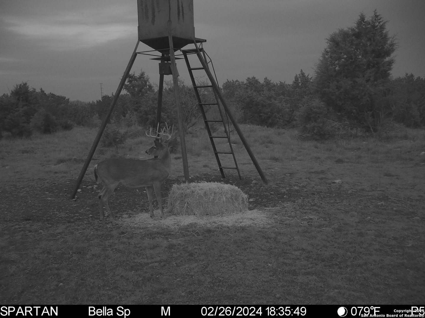 101 Bella Springs Rd