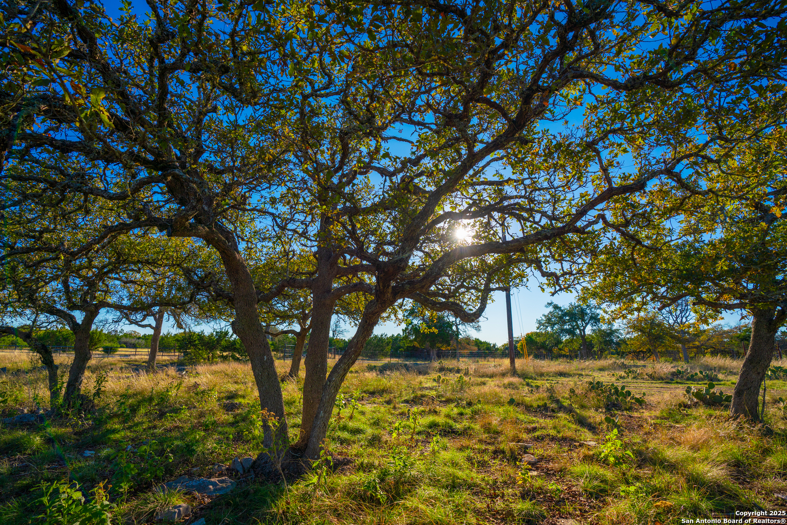 101 Bella Springs Rd