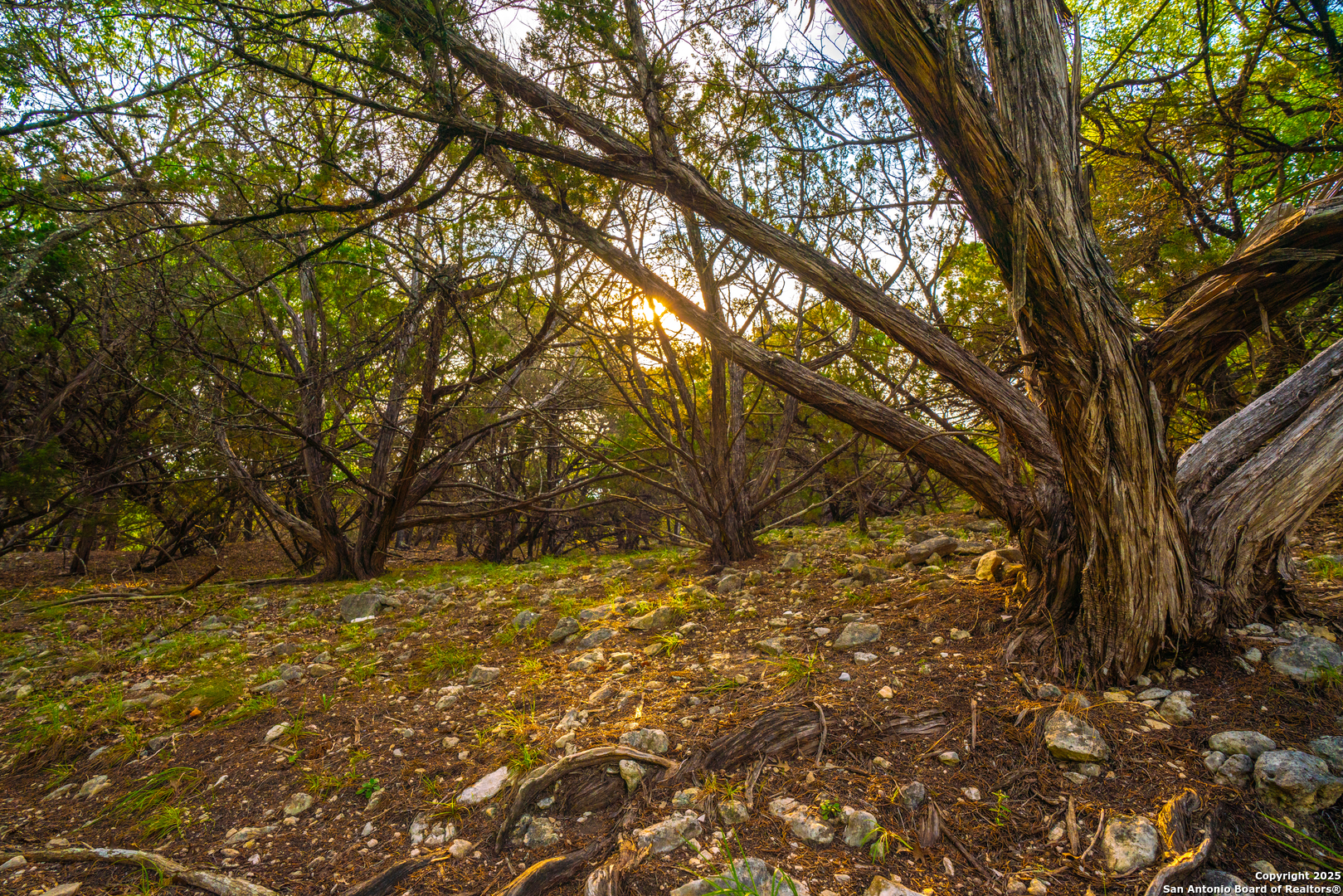 101 Bella Springs Rd