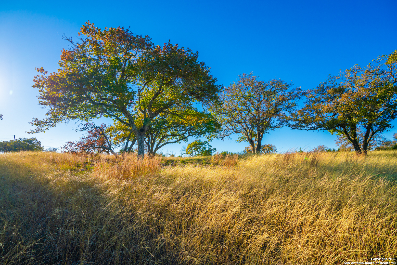 101 Bella Springs Rd