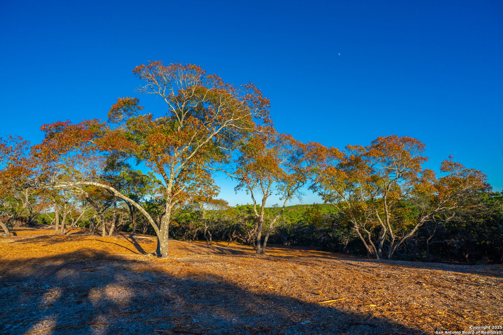 101 Bella Springs Rd