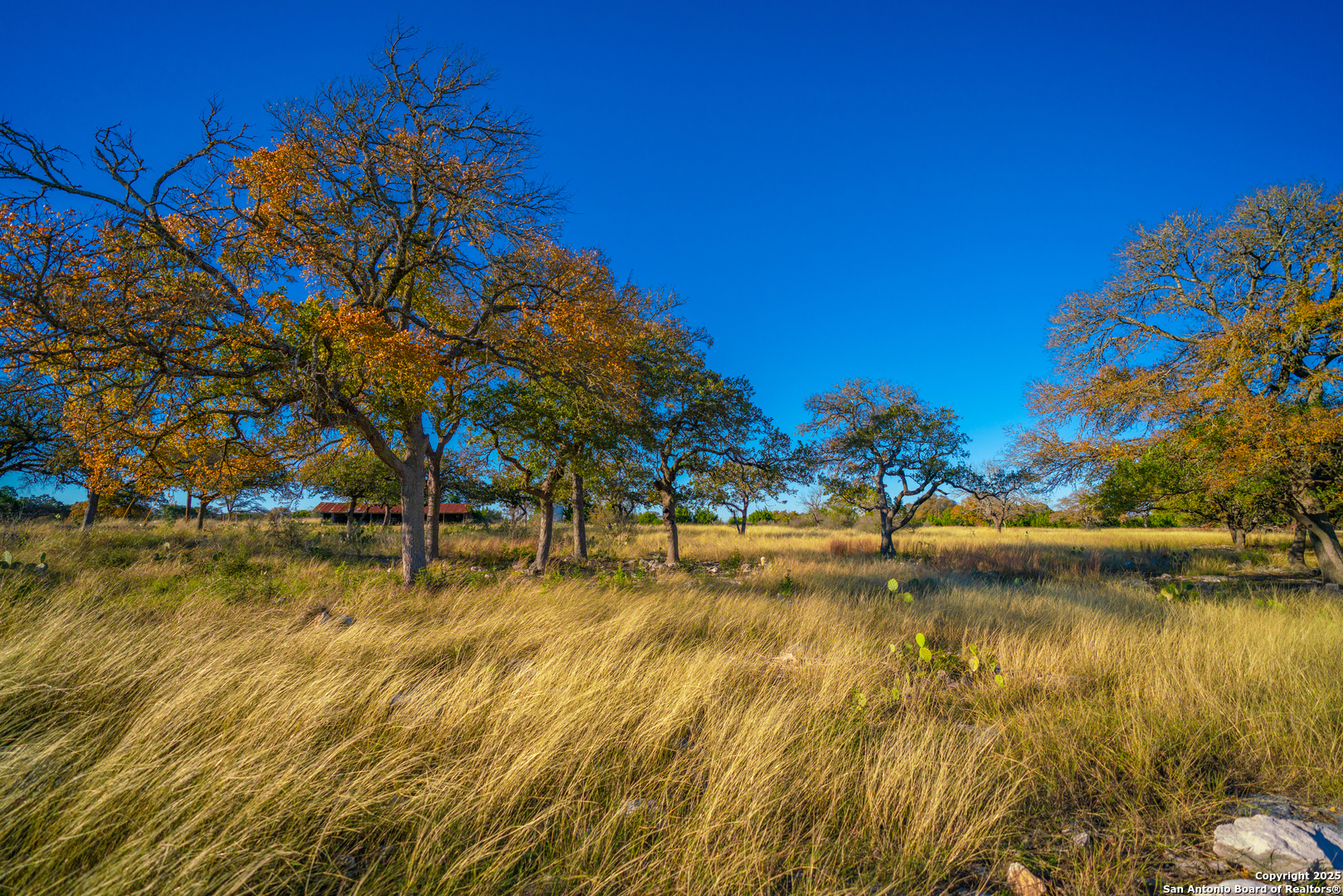 101 Bella Springs Rd