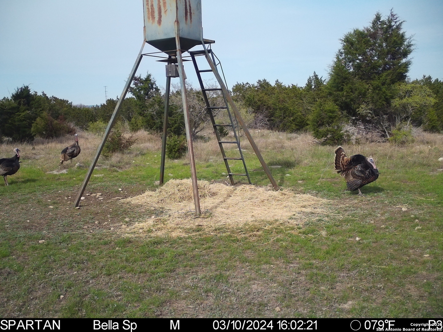 101 Bella Springs Rd