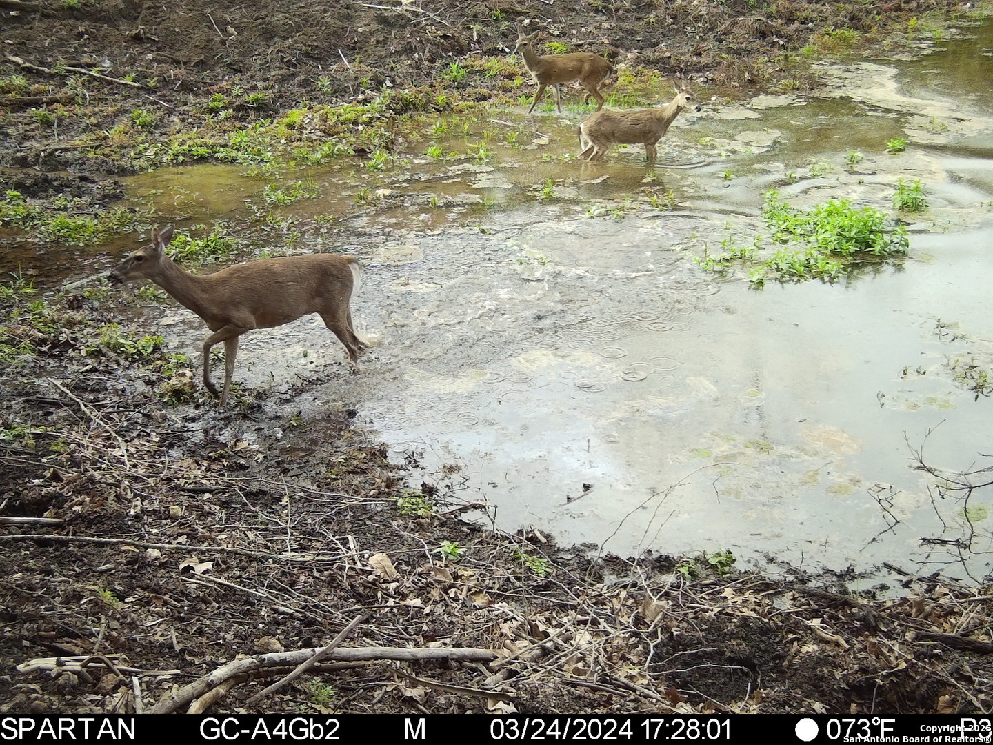 101 Bella Springs Rd