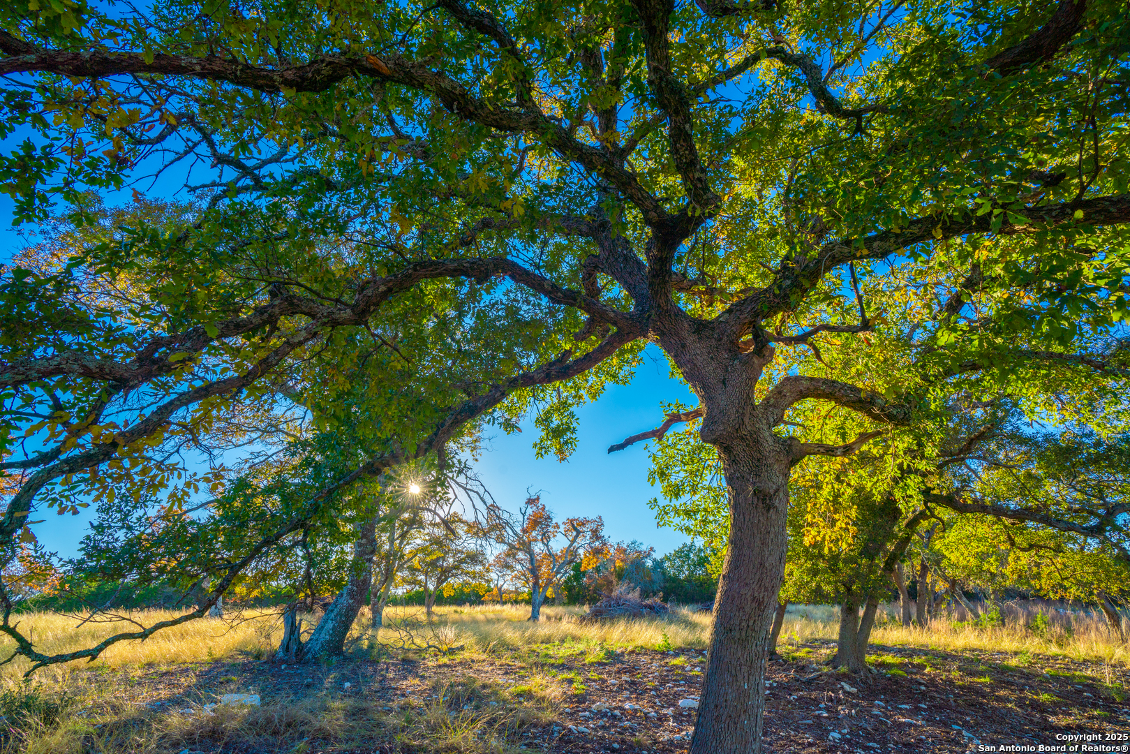 101 Bella Springs Rd