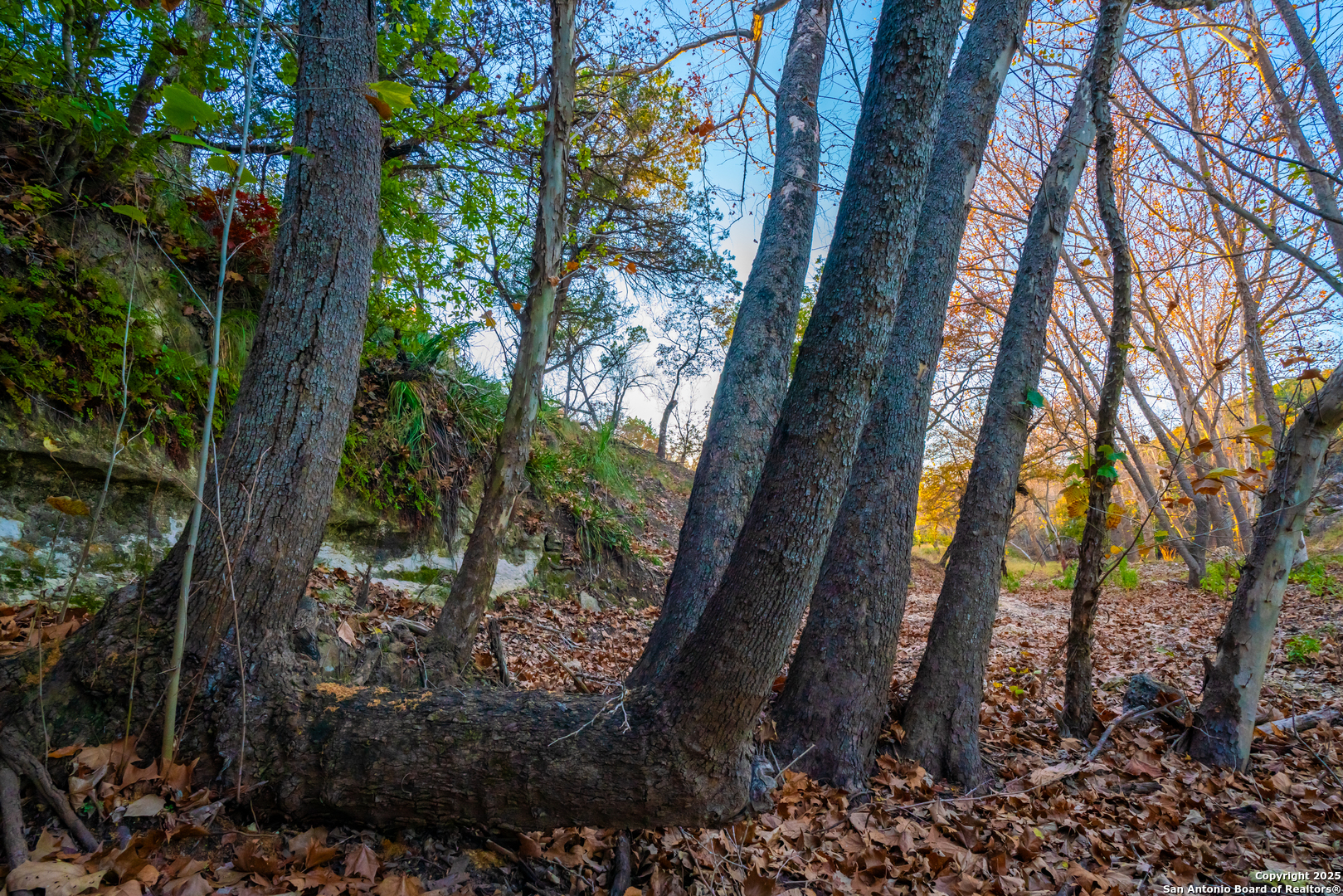 101 Bella Springs Rd