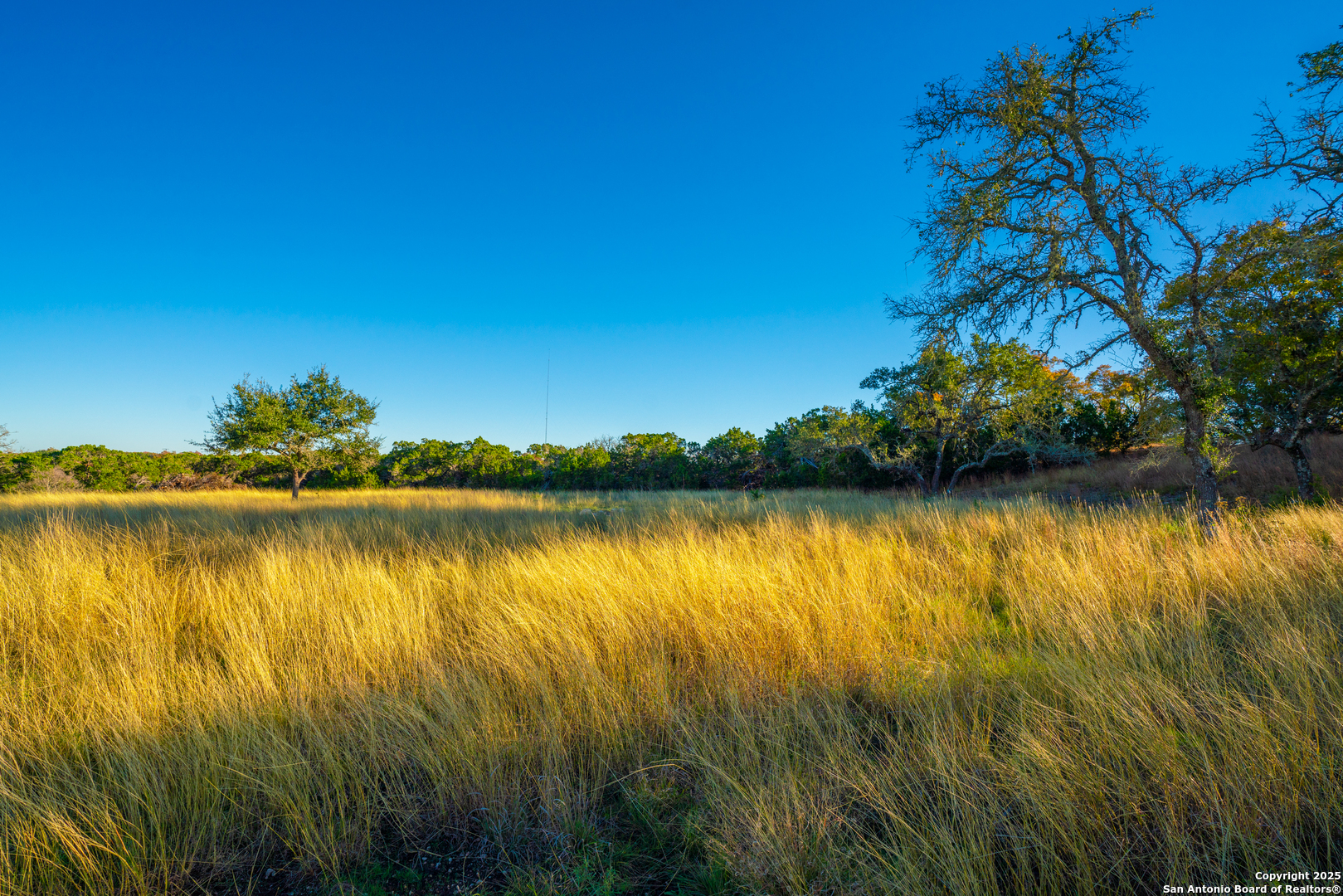 101 Bella Springs Rd