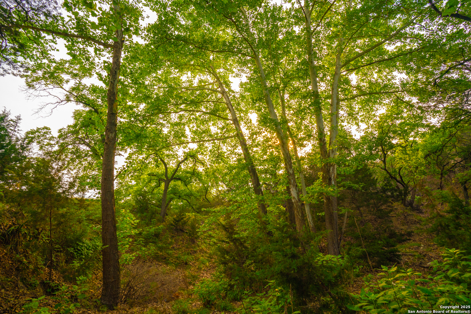 101 Bella Springs Rd