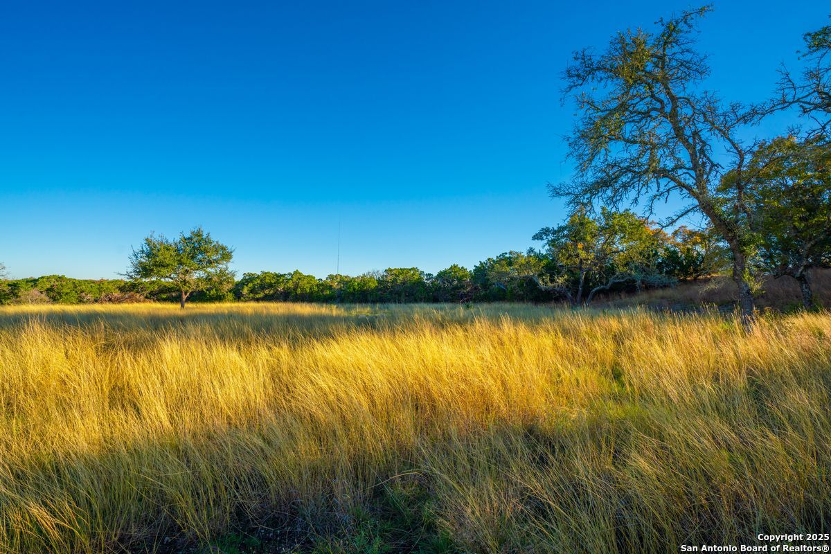 103 Bella Springs Rd