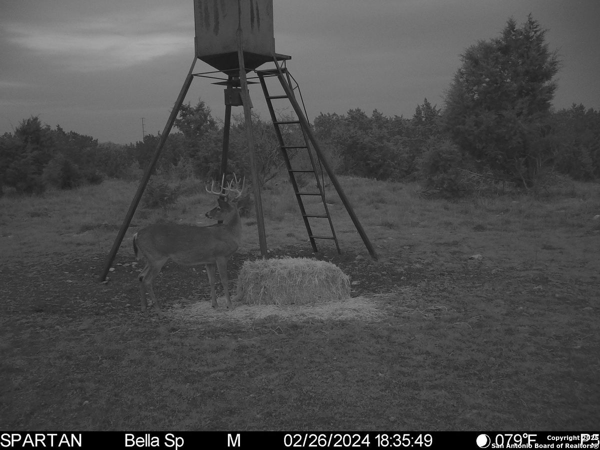 103 Bella Springs Rd