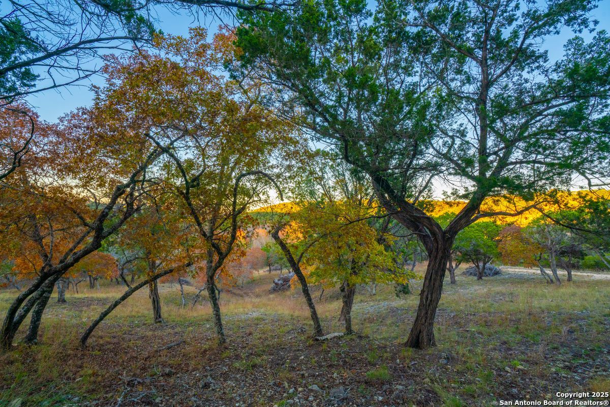 103 Bella Springs Rd