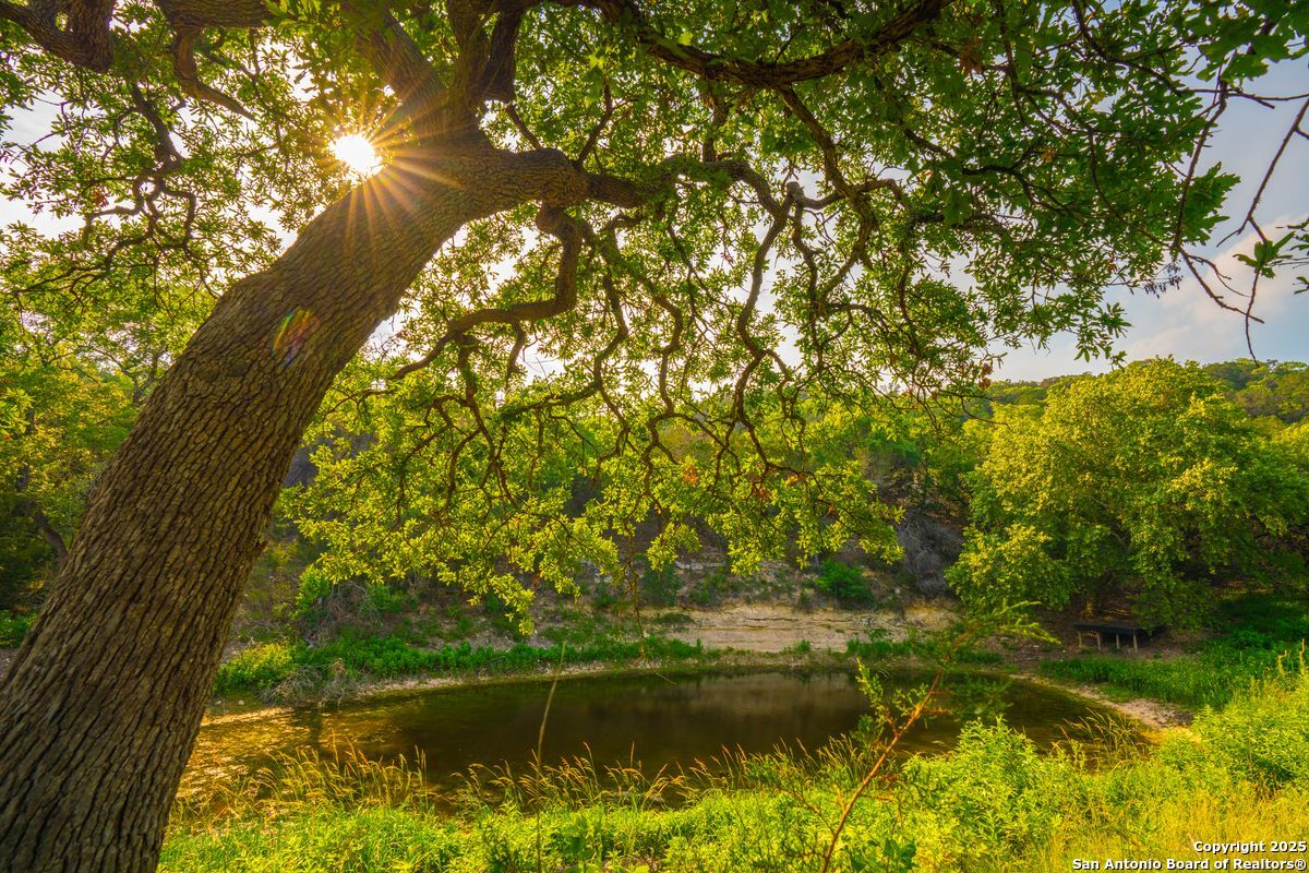 103 Bella Springs Rd