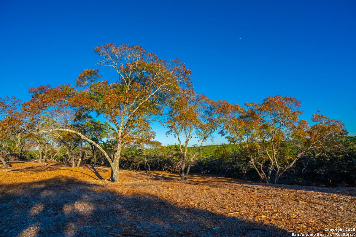 103 Bella Springs Rd