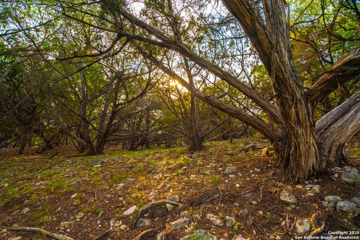 103 Bella Springs Rd