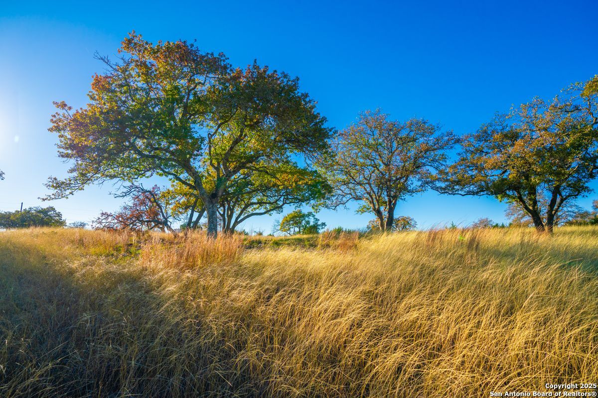 103 Bella Springs Rd