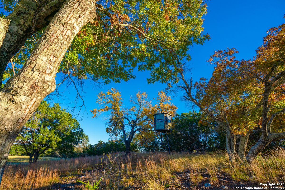 103 Bella Springs Rd