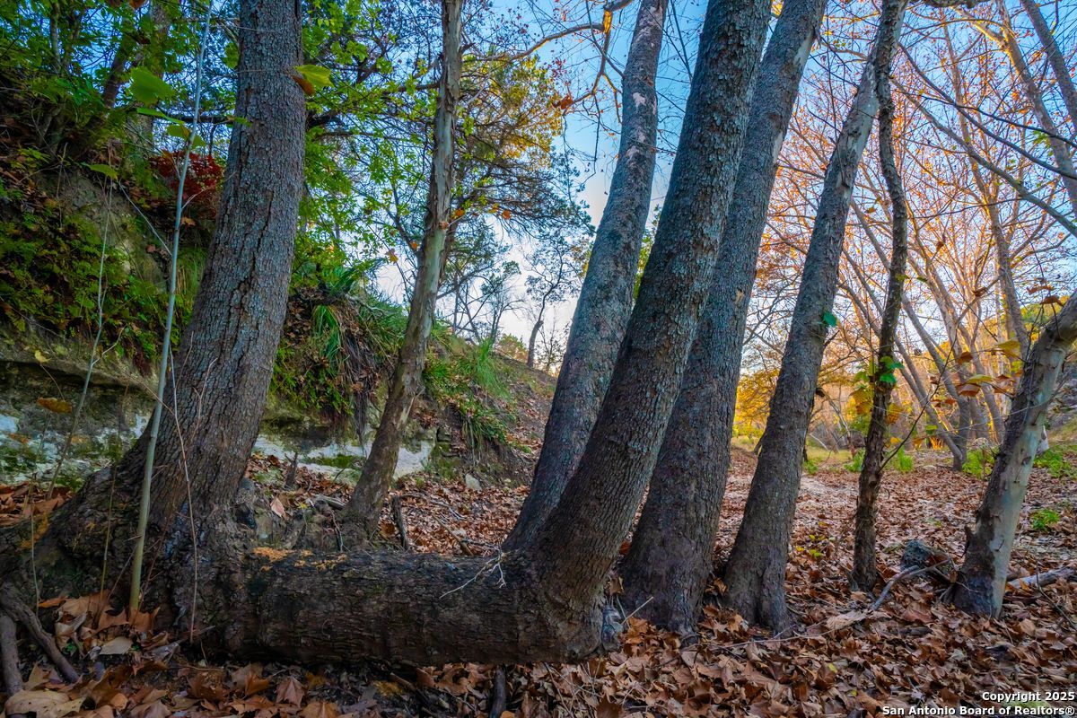 103 Bella Springs Rd