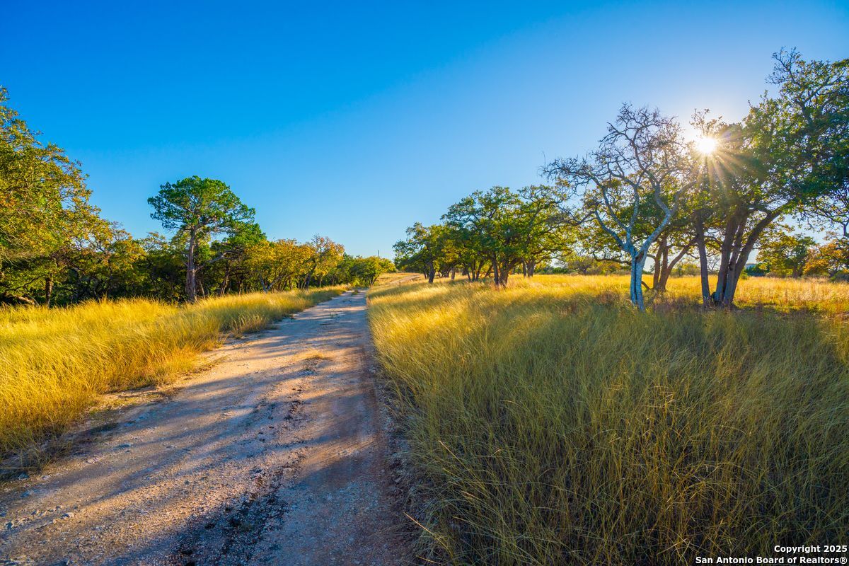 103 Bella Springs Rd