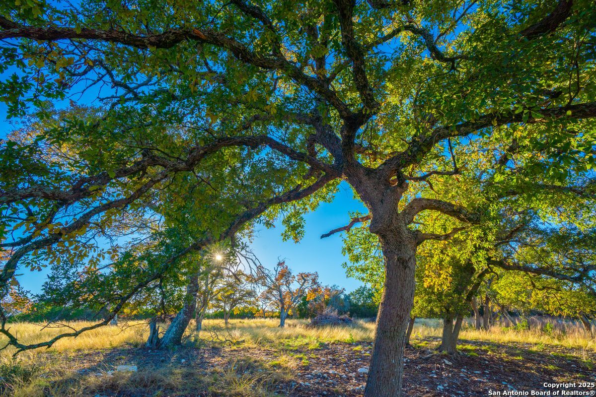 103 Bella Springs Rd