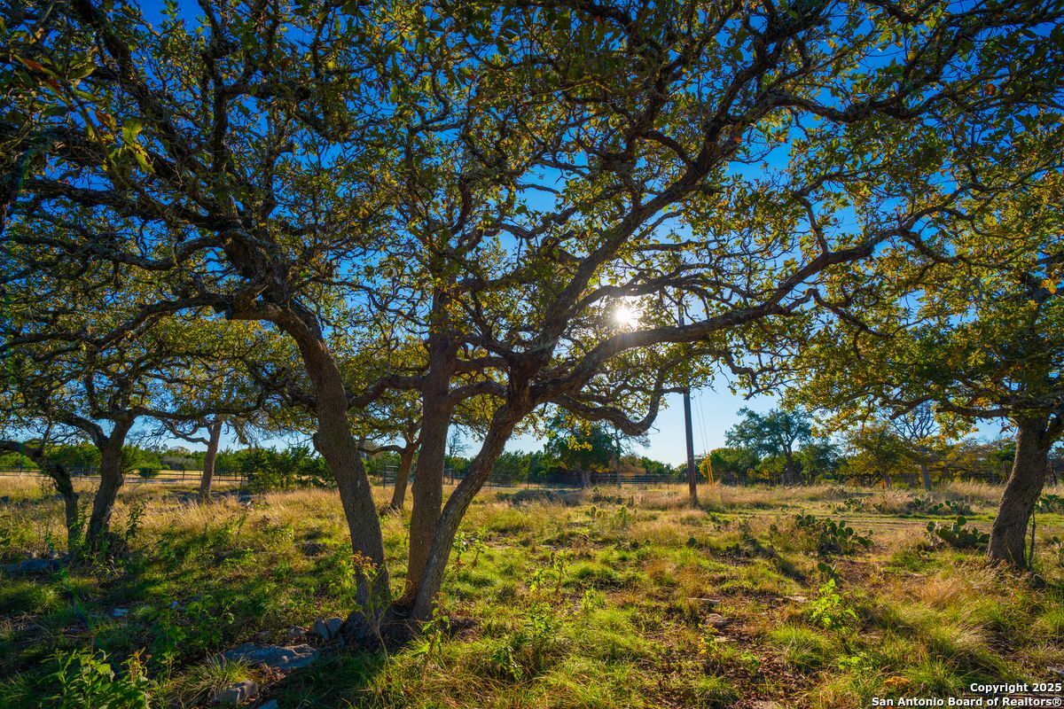 103 Bella Springs Rd