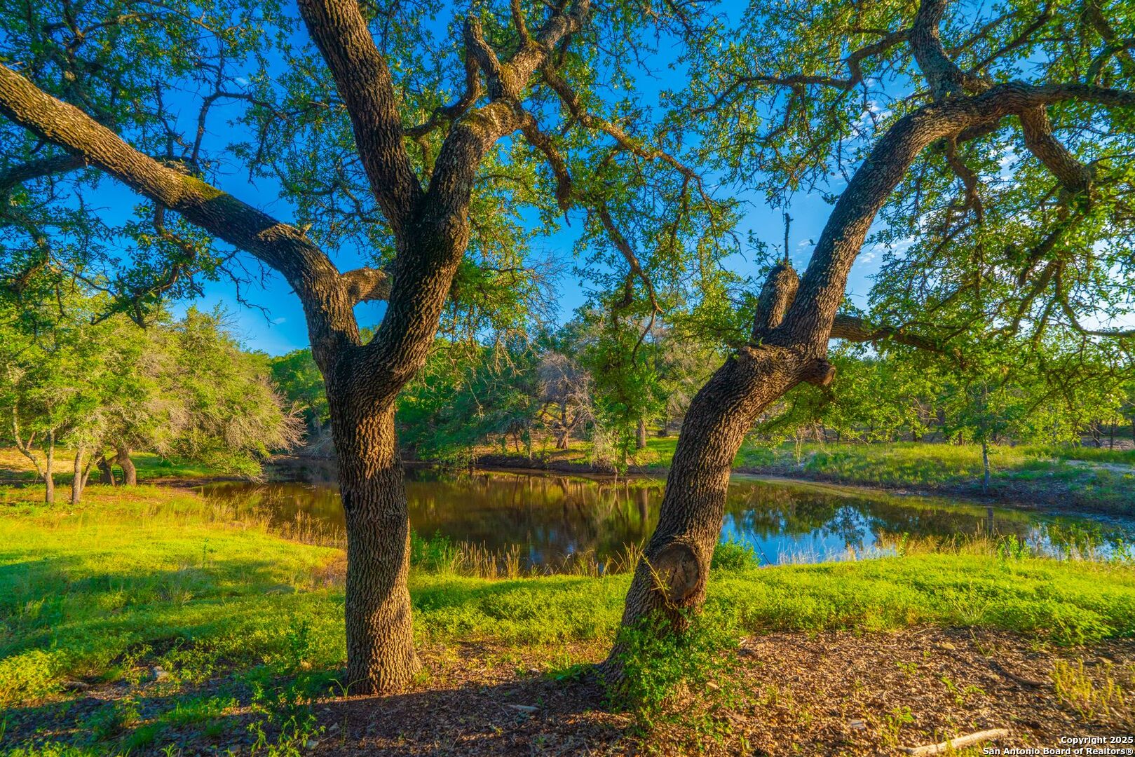 120 Majestic Oaks Drive