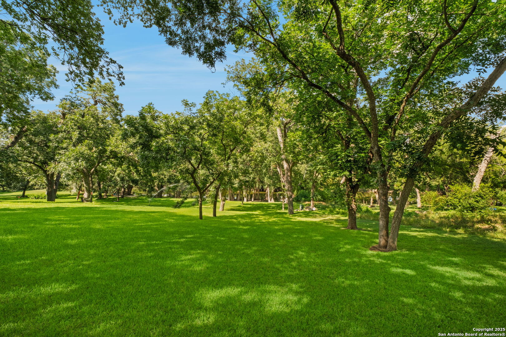1403 San Jacinto