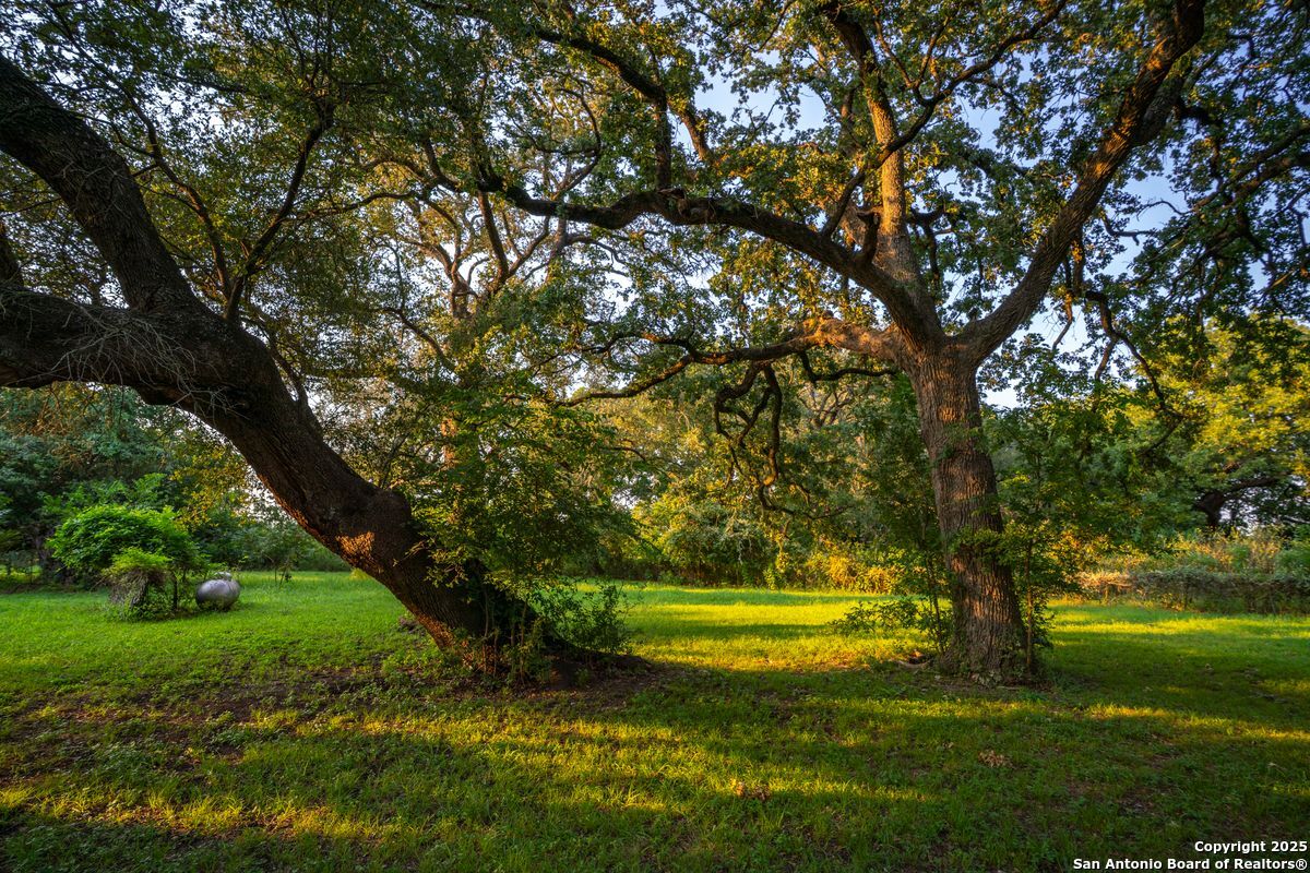 1630 County Road 226