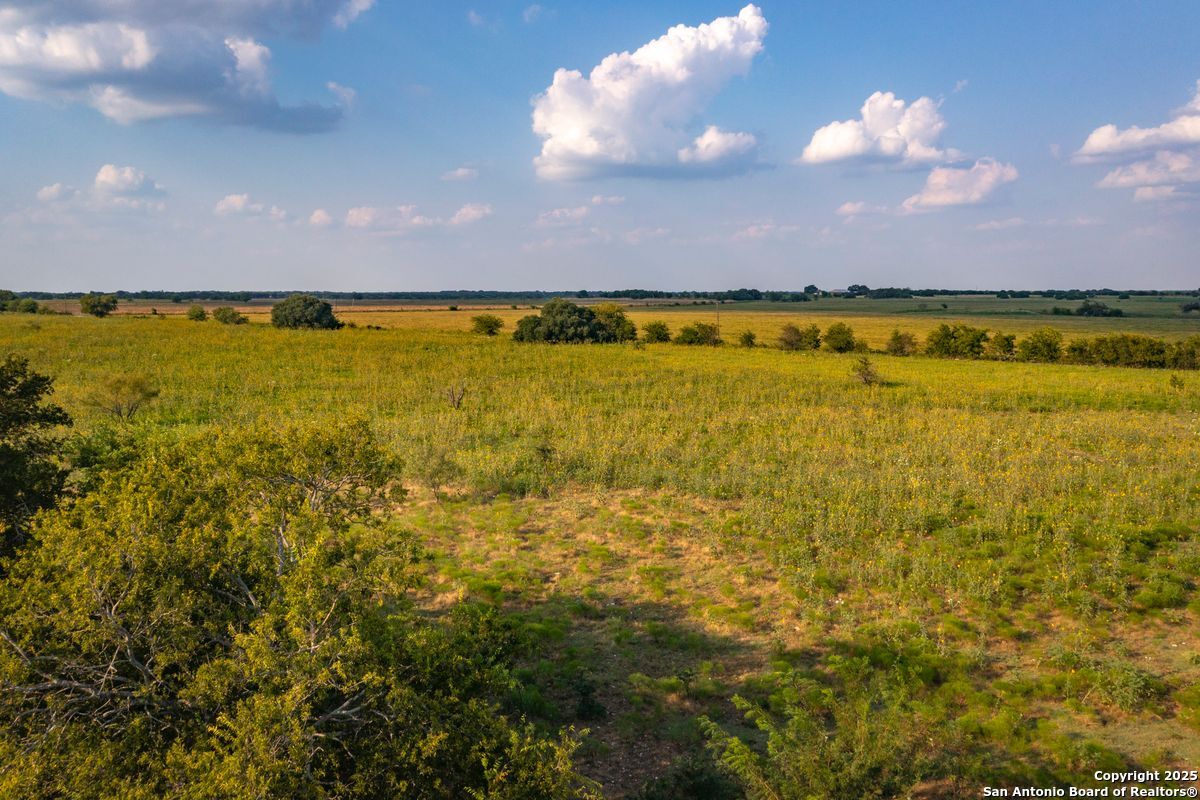 1630 County Road 226