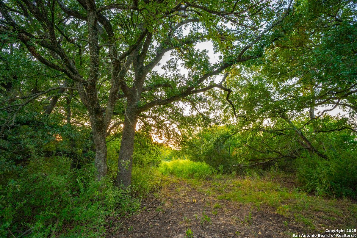 1630 County Road 226