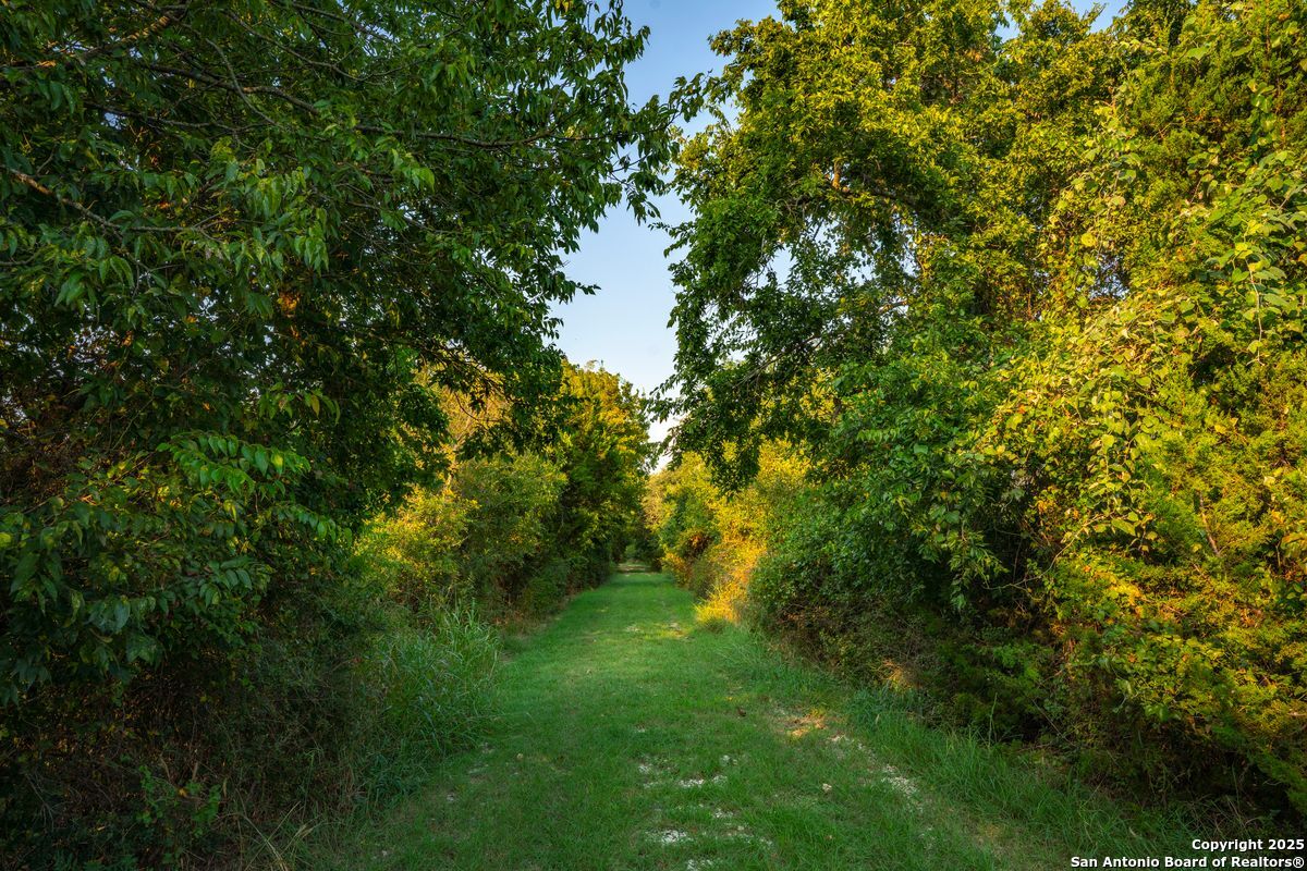 1630 County Road 226