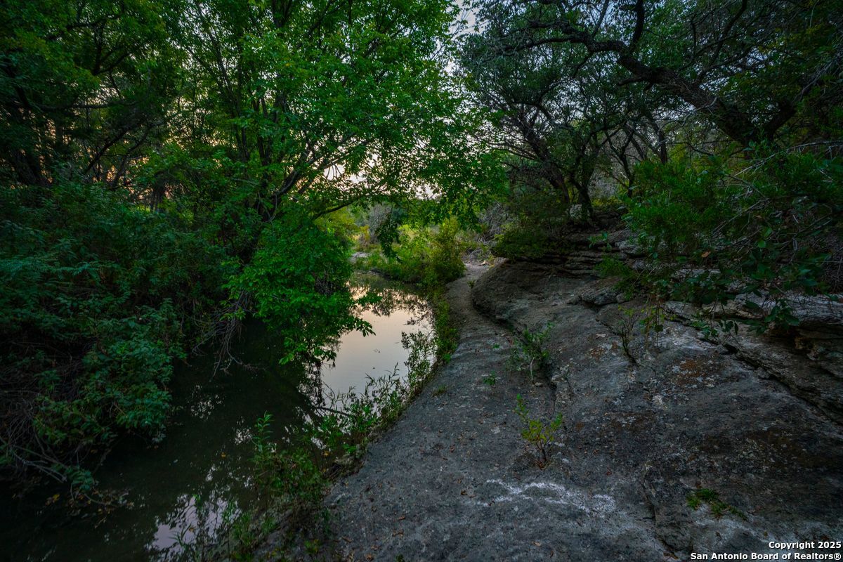 1630 County Road 226