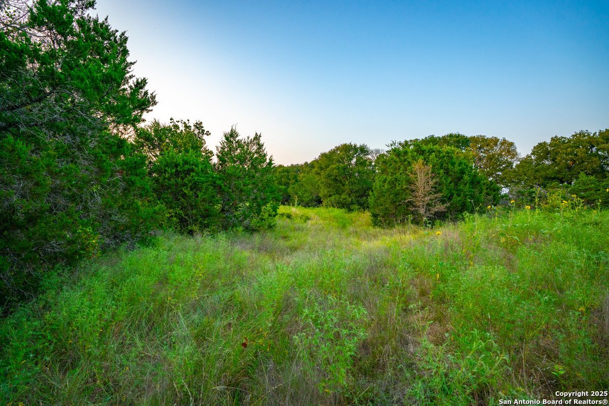 1630 County Road 226
