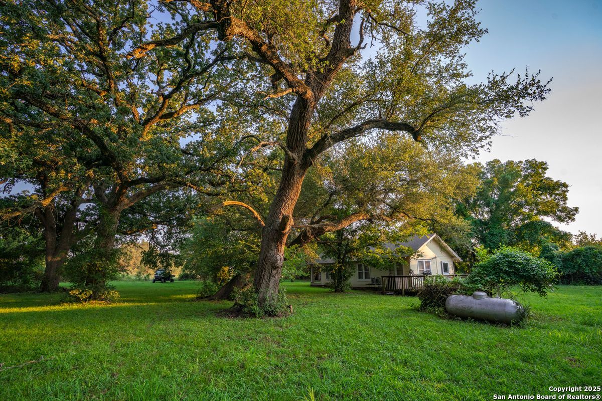 1630 County Road 226