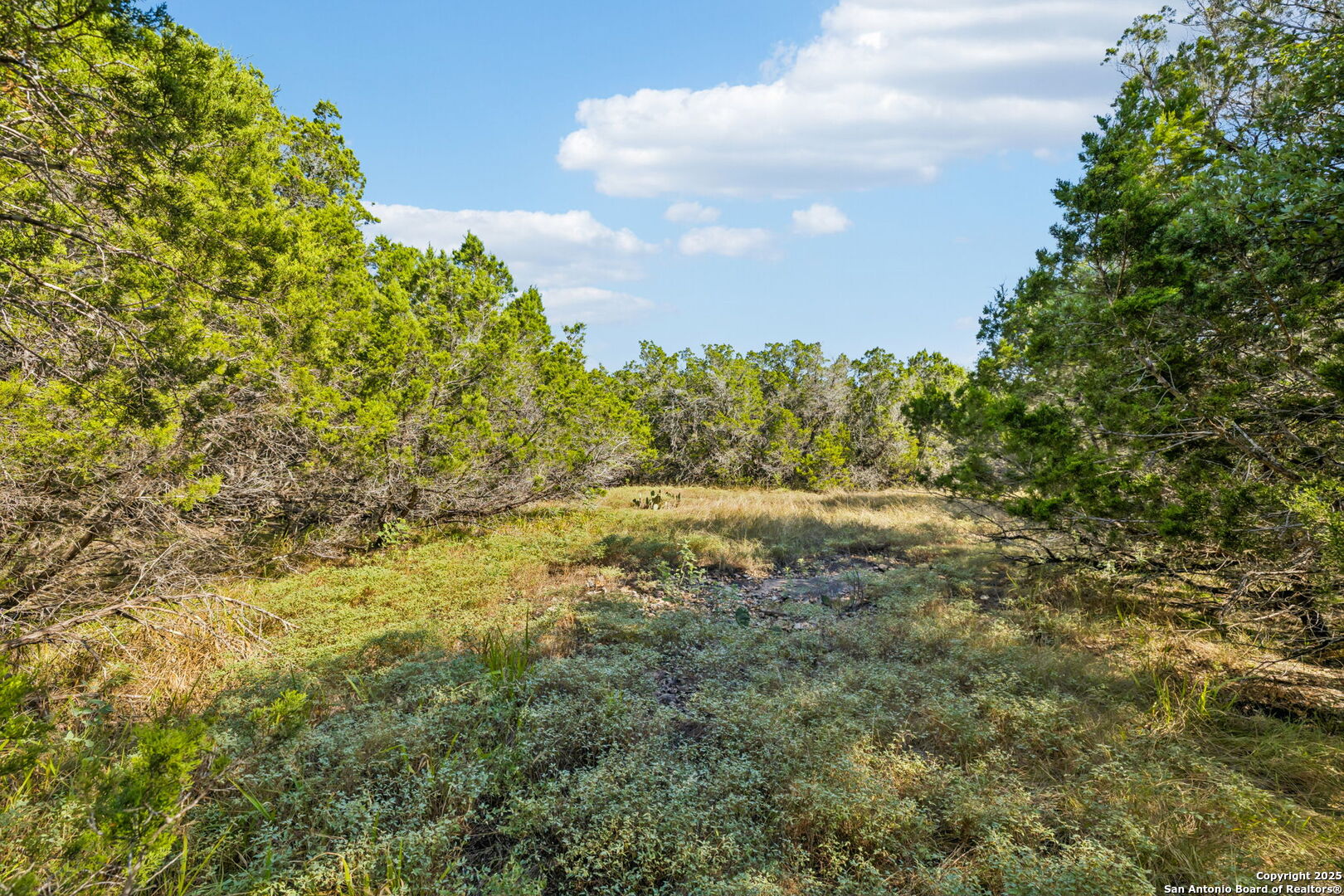 00 County Road 260 W