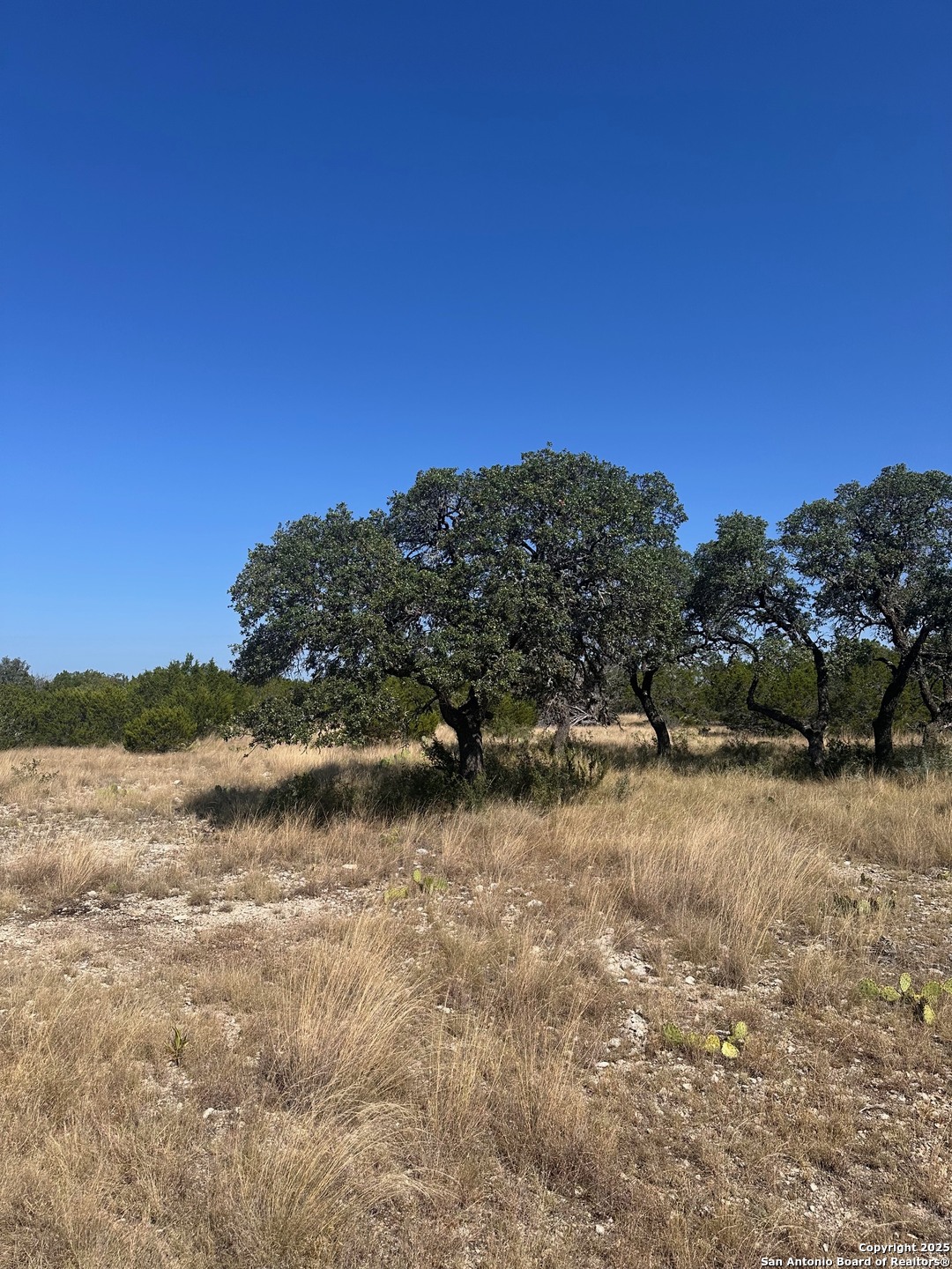 LOT 5 Seven Springs Drive