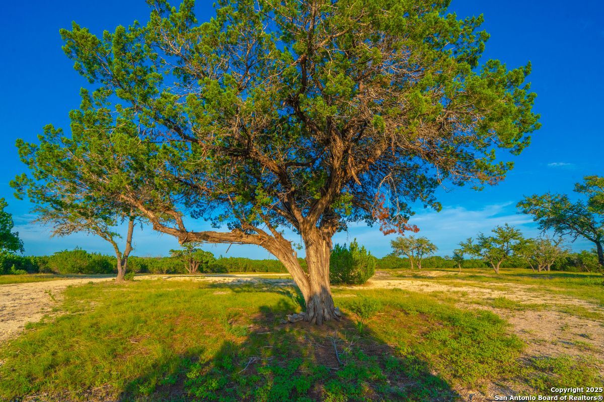 TBD 120 Majestic Oaks Drive