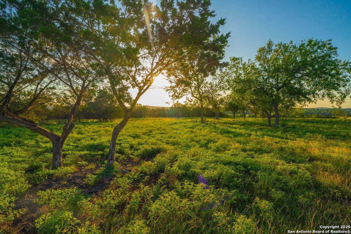 TBD 120 Majestic Oaks Drive