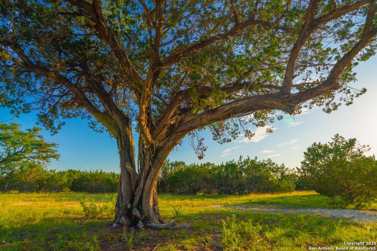 TBD 120 Majestic Oaks Drive