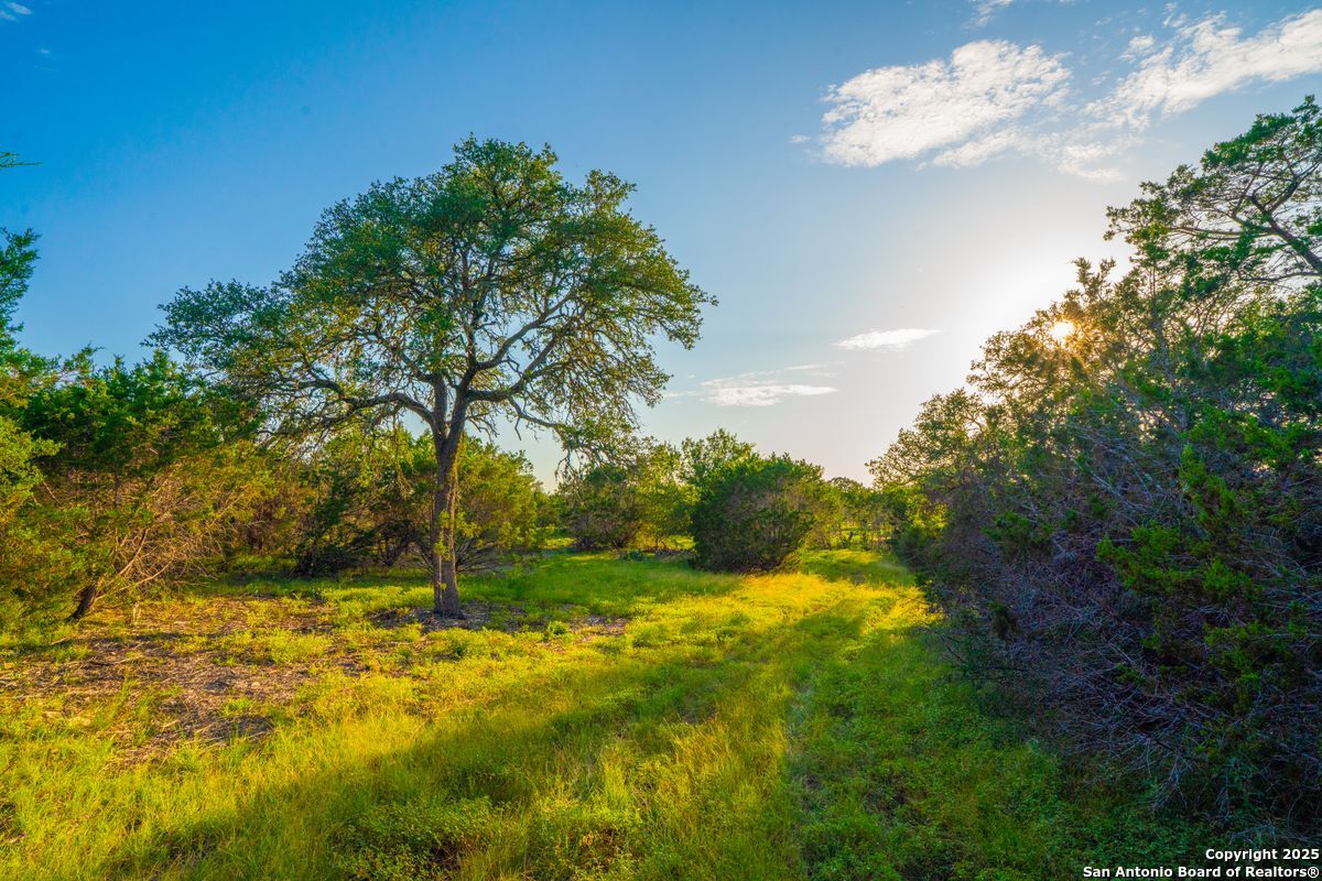 TBD 120 Majestic Oaks Drive