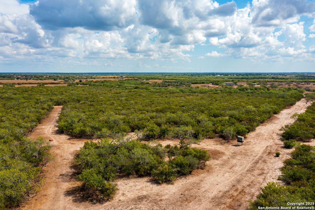 947 County Road 302