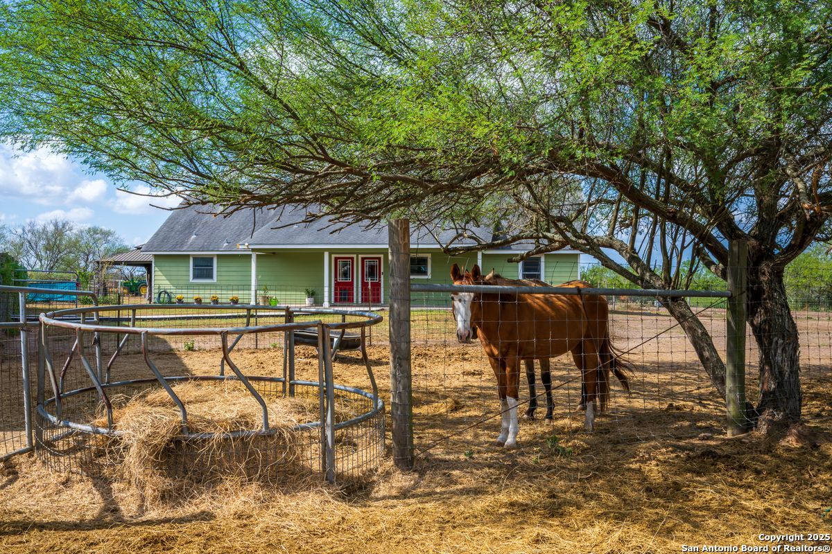 947 County Road 302