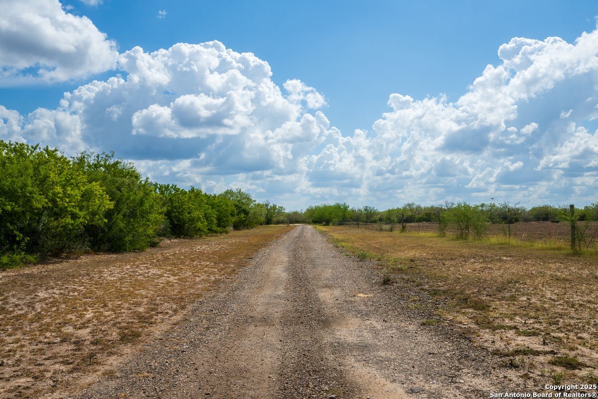 947 County Road 302